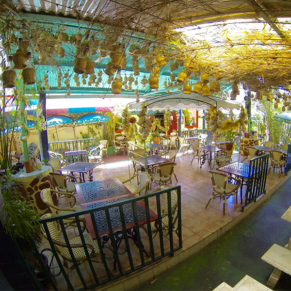 Il Giardino D'Italia - photo 5